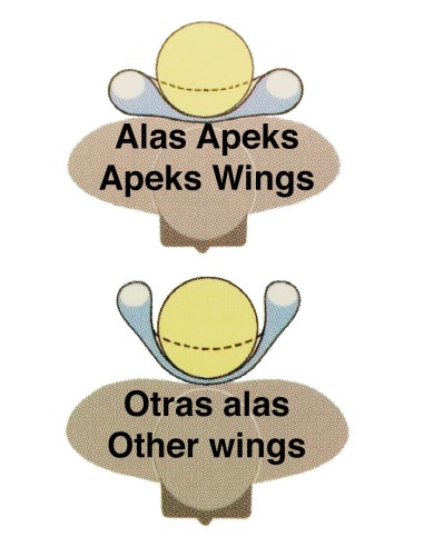 jdive-apeks-wtx-d30-d40 jdive-apeks-wtx-d30-d40