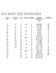 dui-rockboots 2