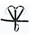 Harness 
